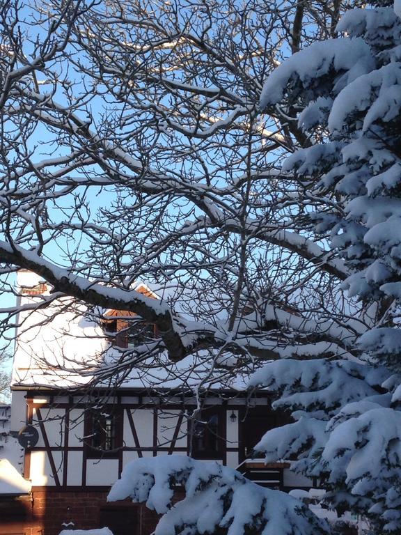 Ferienhaus Annabell Weisbach  Dış mekan fotoğraf